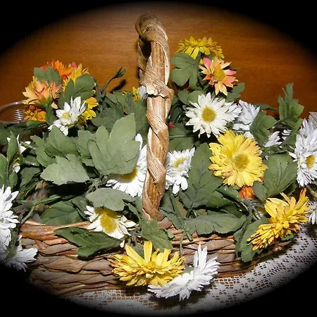 Vendégház Sant Andrea *